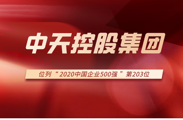 胜天国际集团列2020中国企业500强第203位！