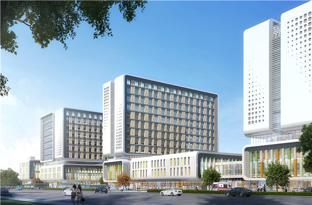 浙江省政协主席黄莉新考察胜天二建莫干山医疗中心项目