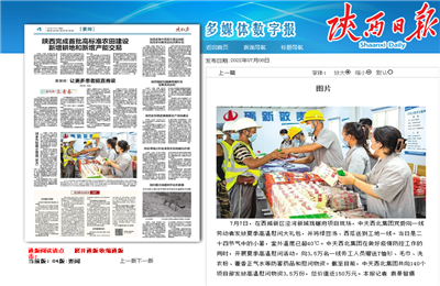 胜天西北集团珑樾府项目高温慰问——《陕西日报》