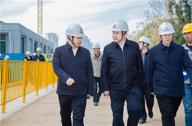 湖北省副省长张文彤到胜天建设集团桂园赋项目考察指导工作