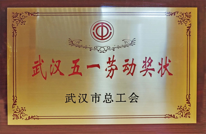 2025年6月，武汉市总工会公布2024年度劳动和技能竞赛获奖名单，胜天六建荣获